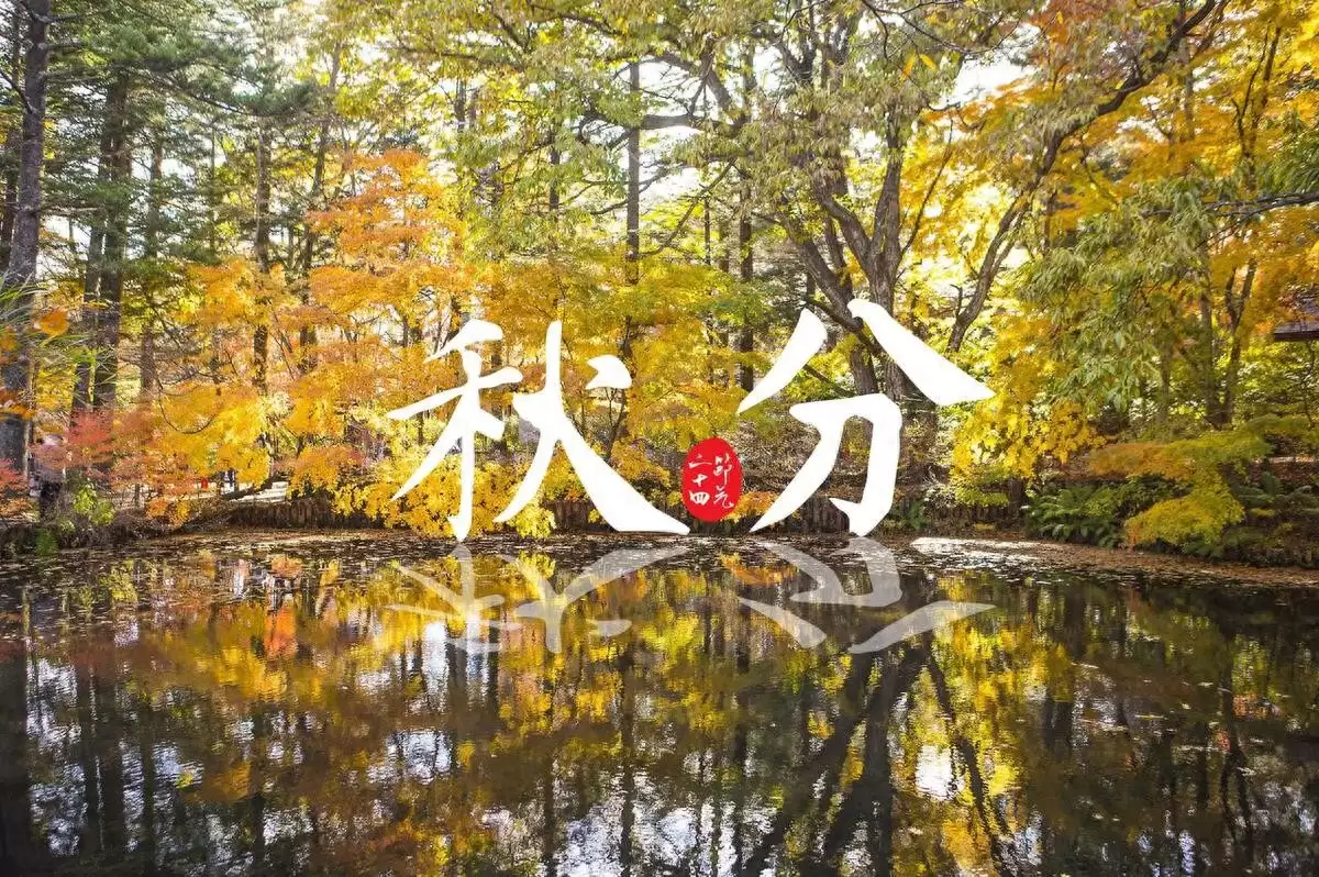 秋分饮食指南：吃谷咬薯尝白顺时安-会东网