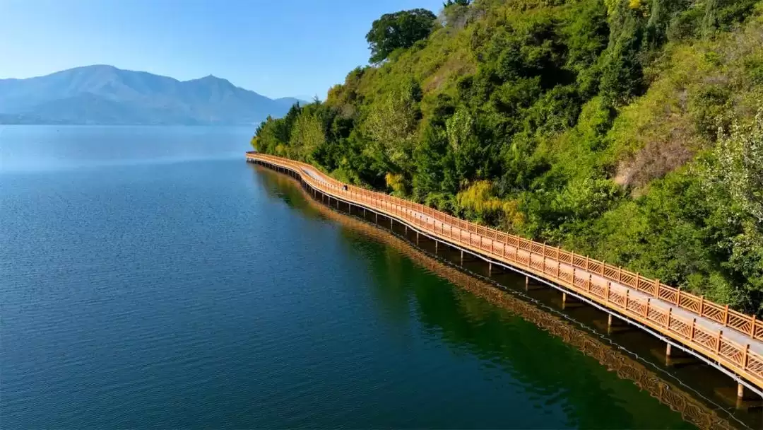 奔跑“西马”，西昌跑者以十年之约奔赴赛场！插图5
