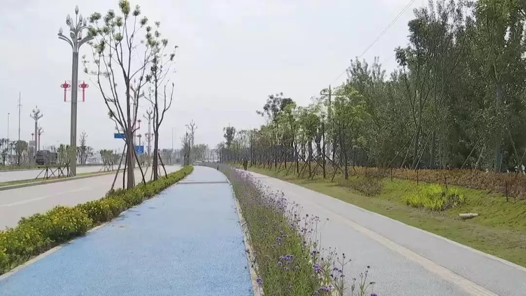 西昌韧性城市建设推进，织安全网绘生态新篇行动！插图4
