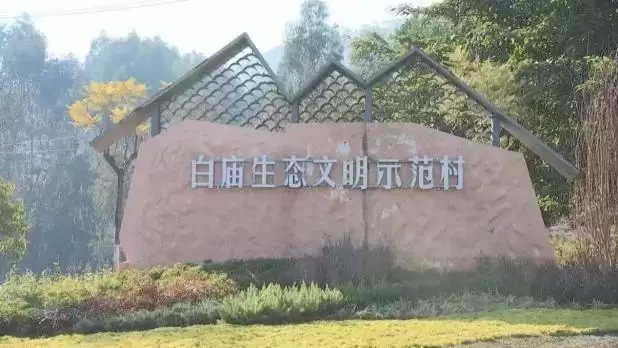 西昌持续推进绿色发展，加快建设美丽宜居城市！插图16