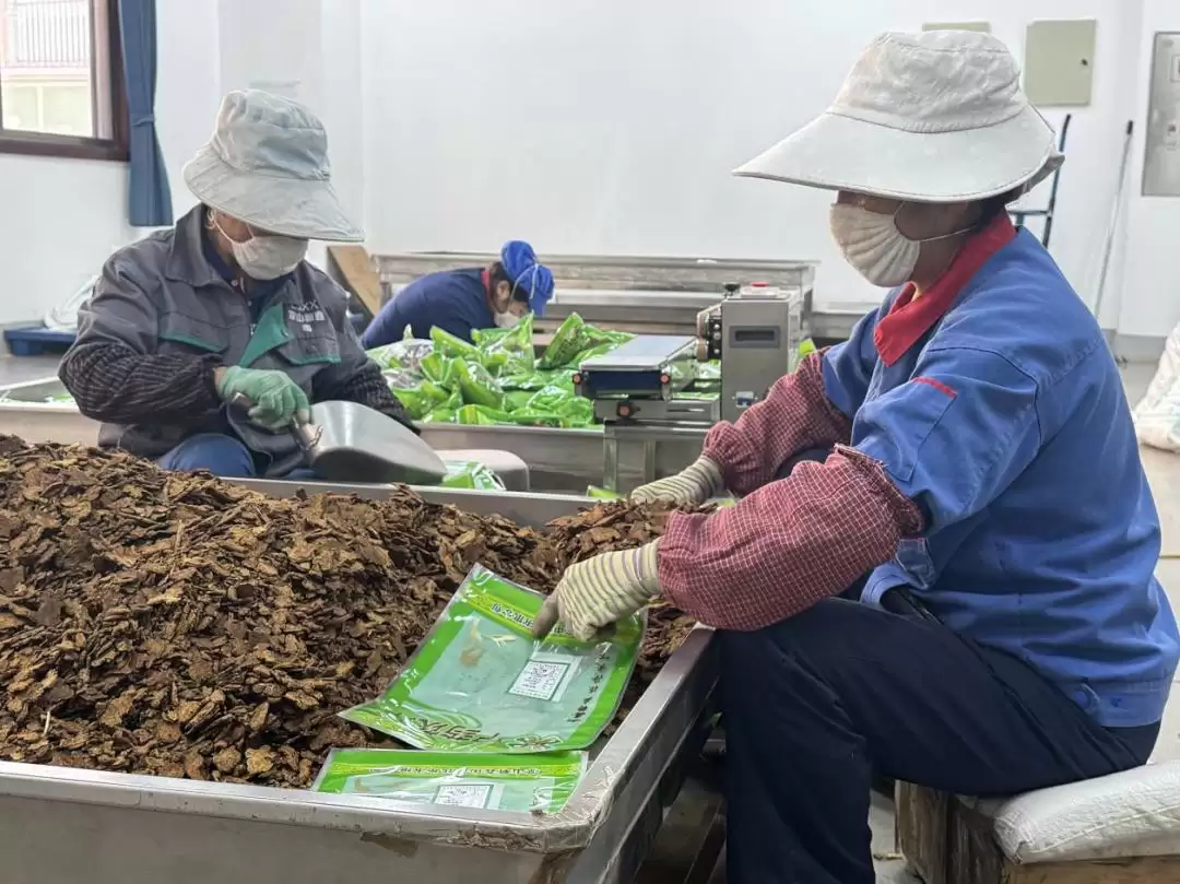 凉山新鑫中药饮片四季度冲刺，生产马力全开启！插图1