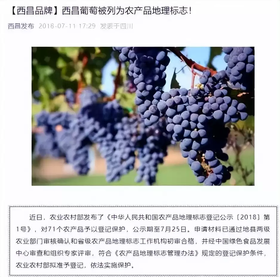 西昌何以在全州“领跑”，发展优势与特色受关注！插图28