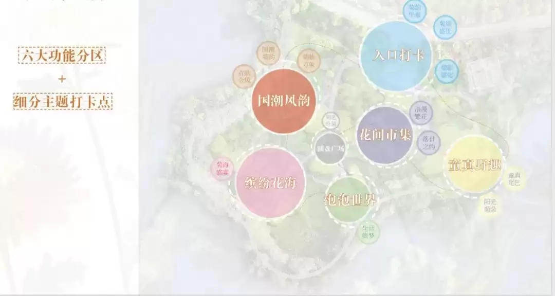 国庆节到西昌赏菊花，金秋菊韵绽放迷人风采！插图5