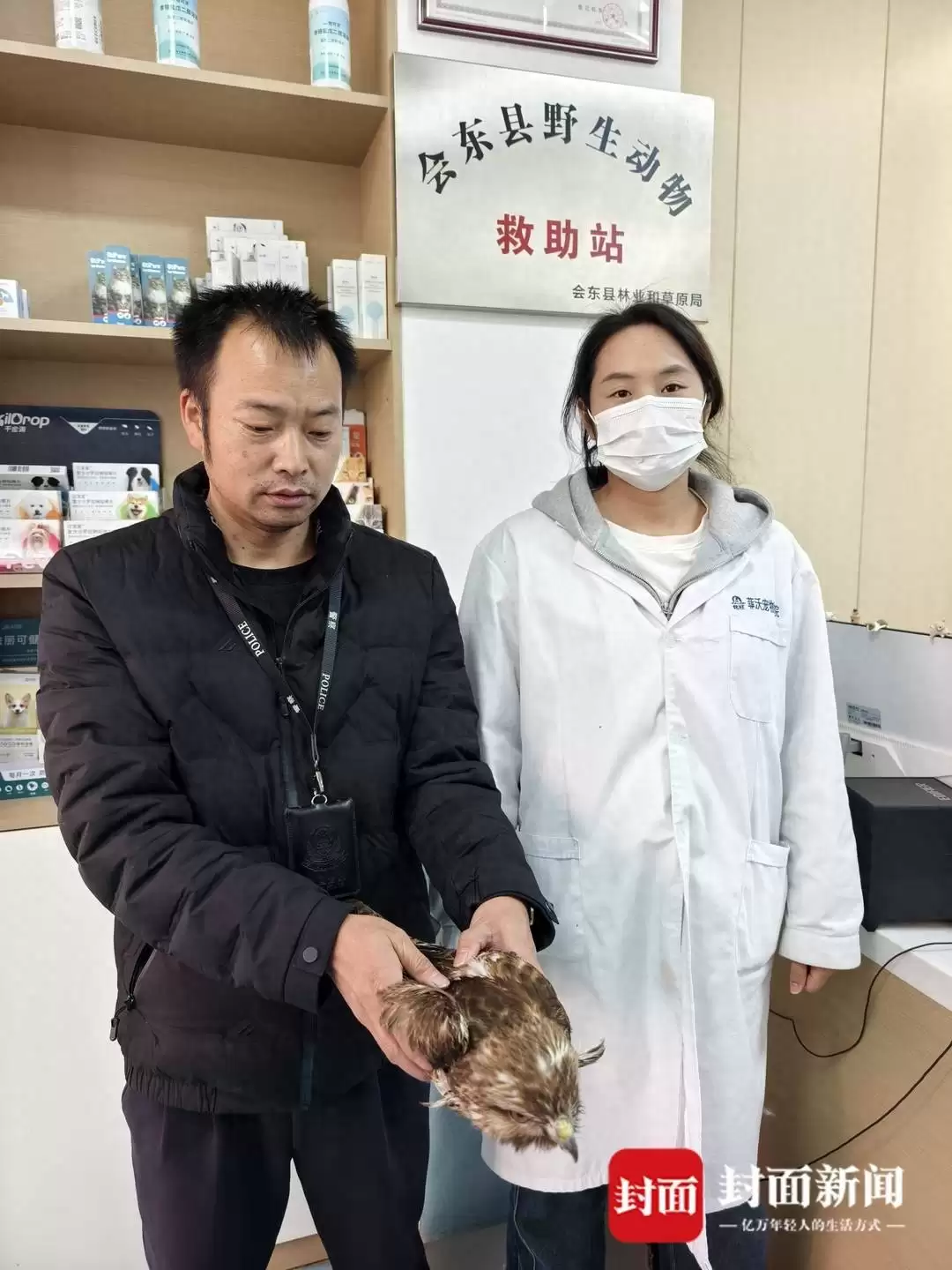 会东县市民救助受伤红尾鵟，国家二级保护动物获救-会东网