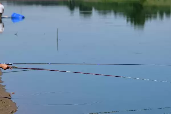 图片[4]-钓青鱼最佳时期 (4 – 6 月、8 – 11 月是否是钓青鱼最佳期)-会东网