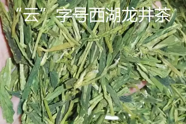 图片[8]-西湖龙井核心产区 (西湖龙井是否有五大核心产区)-会东网