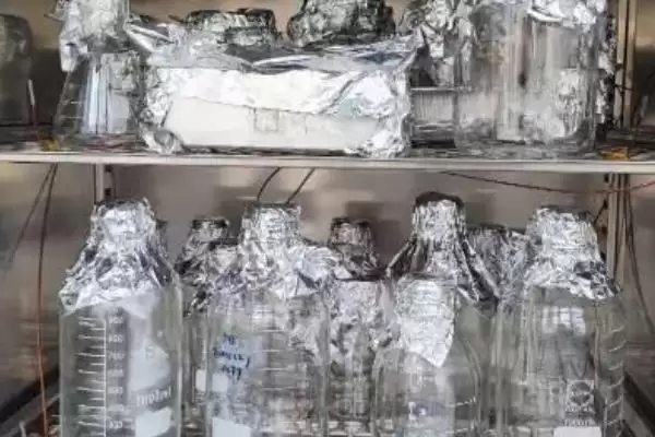图片[3]-干热灭菌适宜温度 (干热灭菌普通物品最适温度是否为 160°C)-会东网
