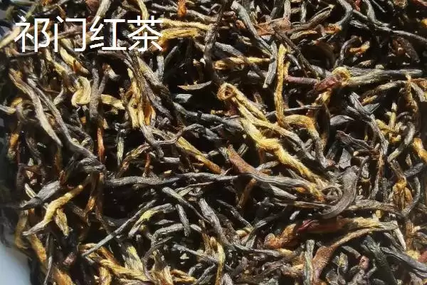 图片[6]-黄山毛峰茶叶地位 (黄山毛峰是否是安徽历史名茶)-会东网