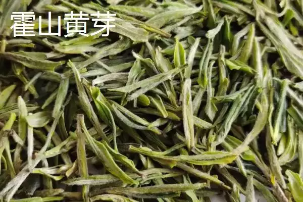 图片[10]-黄山毛峰茶叶地位 (黄山毛峰是否是安徽历史名茶)-会东网