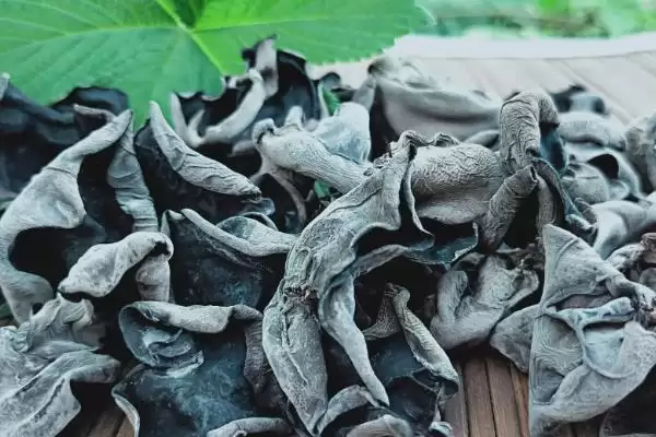 图片[6]-平山特产介绍 (平山特产是否有白灵菇等)-会东网