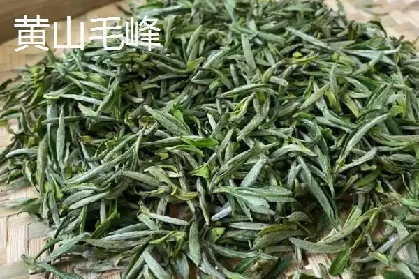 图片[7]-黄山毛峰茶叶地位 (黄山毛峰是否是安徽历史名茶)-会东网