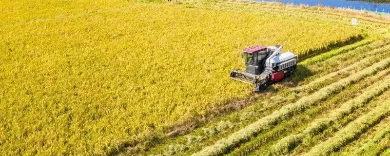 农业合作化意义影响 (农业合作化是否推动了社会主义建设)-会东网