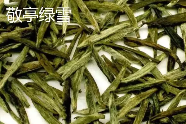 图片[11]-黄山毛峰茶叶地位 (黄山毛峰是否是安徽历史名茶)-会东网