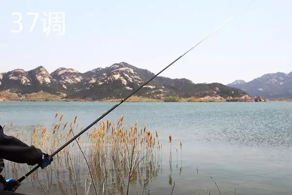 图片[6]-新手鱼竿选用建议 (新手是否建议使用 37 调鱼竿钓小鱼)-会东网