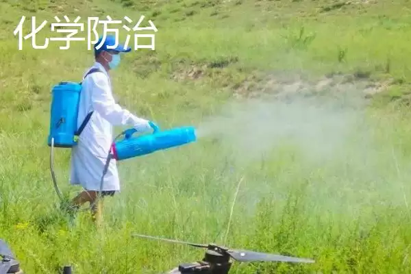 图片[3]-生物与化学防治差异 (生物防治和化学防治在概念、优缺点方面是否不同)-会东网