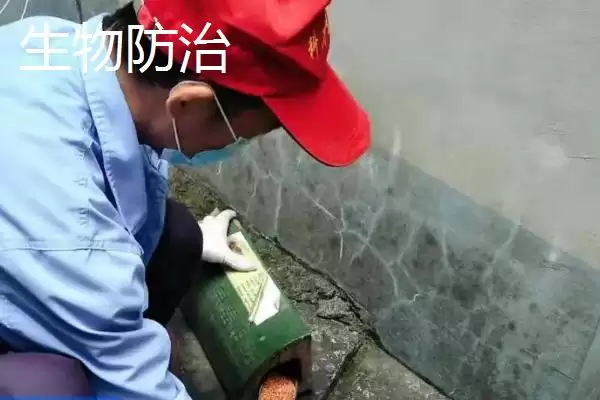图片[2]-生物与化学防治差异 (生物防治和化学防治在概念、优缺点方面是否不同)-会东网