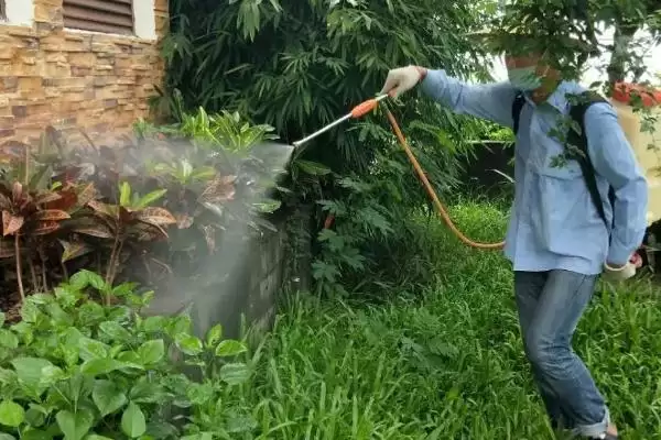 图片[4]-生物与化学防治差异 (生物防治和化学防治在概念、优缺点方面是否不同)-会东网