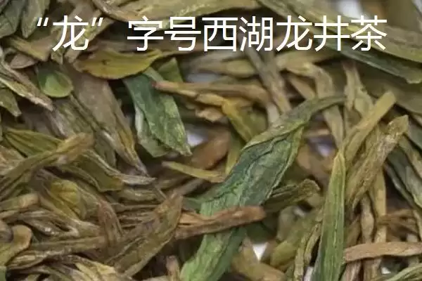 图片[6]-西湖龙井核心产区 (西湖龙井是否有五大核心产区)-会东网