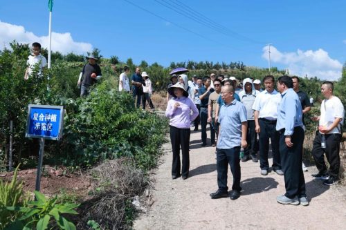 会东携手凉山农科院共建科技农业，探索乡村振兴新路径插图1