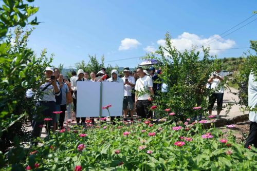 会东携手凉山农科院共建科技农业，探索乡村振兴新路径插图2