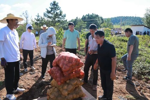 会东携手凉山农科院共建科技农业，探索乡村振兴新路径插图5