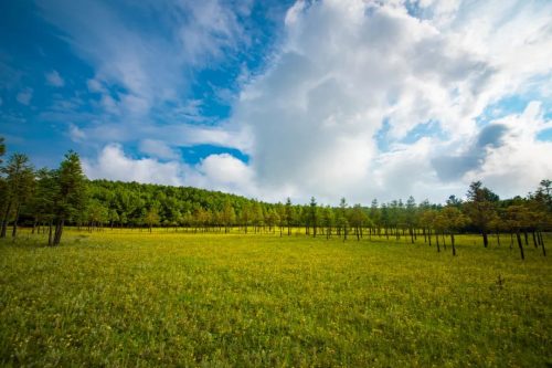 穿越会东:川滇融汇的诗画之旅插图4 穿越会东:川滇融汇的诗画之旅插图4