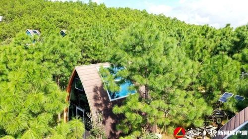 穿越会东:川滇融汇的诗画之旅插图8 穿越会东:川滇融汇的诗画之旅插图8