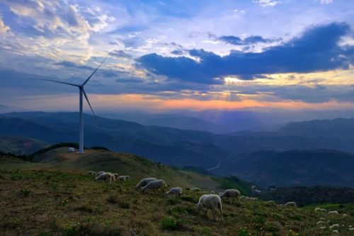 穿越会东:川滇融汇的诗画之旅插图10 穿越会东:川滇融汇的诗画之旅插图10