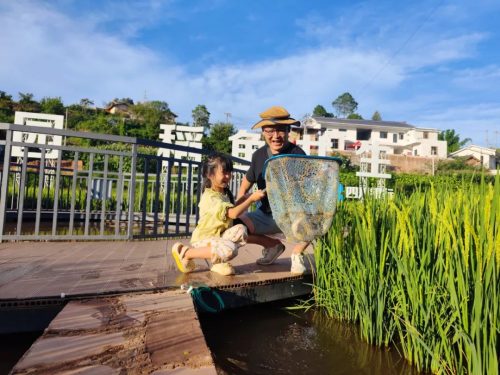 姜州镇中和村:“稻鱼共生”探索富民新路径,党建引领乡村振兴显成效插图2 姜州镇中和村:“稻鱼共生”探索富民新路径,党建引领乡村振兴显成效插图2