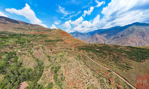 会东牛油果产业崛起:从进口依赖到本土丰产的绿色转型与乡村振兴新篇章插图 会东牛油果产业崛起:从进口依赖到本土丰产的绿色转型与乡村振兴新篇章插图