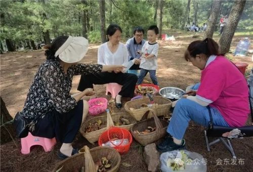 马头山景区：会东避暑新宠，森林康养的天堂插图3