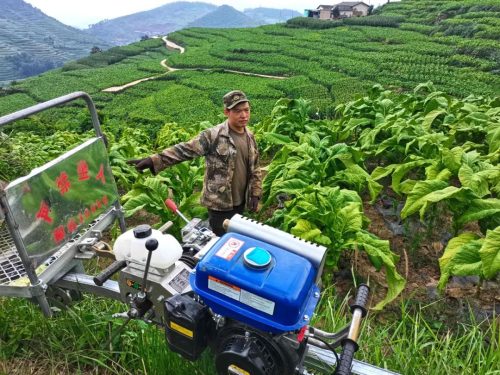 会东县“小火车”助力烟叶运输,山地单轨运输机引领农业现代化新篇章插图2 会东县“小火车”助力烟叶运输,山地单轨运输机引领农业现代化新篇章插图2