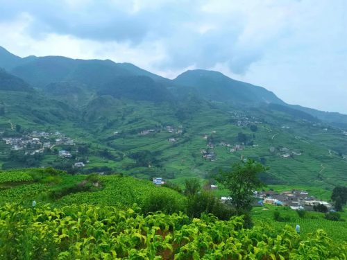 会东县“小火车”助力烟叶运输,山地单轨运输机引领农业现代化新篇章插图4 会东县“小火车”助力烟叶运输,山地单轨运输机引领农业现代化新篇章插图4