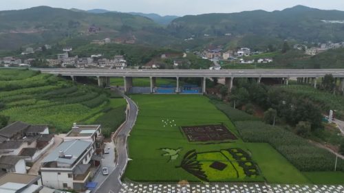 姜州镇：高速路桥下的3D壁画与篮球场，绘就乡村振兴新画卷插图1