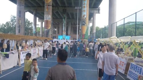 姜州镇：高速路桥下的3D壁画与篮球场，绘就乡村振兴新画卷插图2