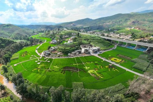 火把节音乐会、乡村音乐节共绘多彩画卷插图1 火把节音乐会、乡村音乐节共绘多彩画卷插图1