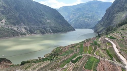 溜姑乡金东村:枇杷产业助力移民群众增收致富插图1 溜姑乡金东村:枇杷产业助力移民群众增收致富插图1