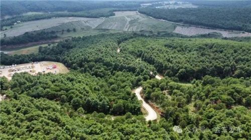 会东林业高质量发展：生态与经济双赢的绿色之路插图2