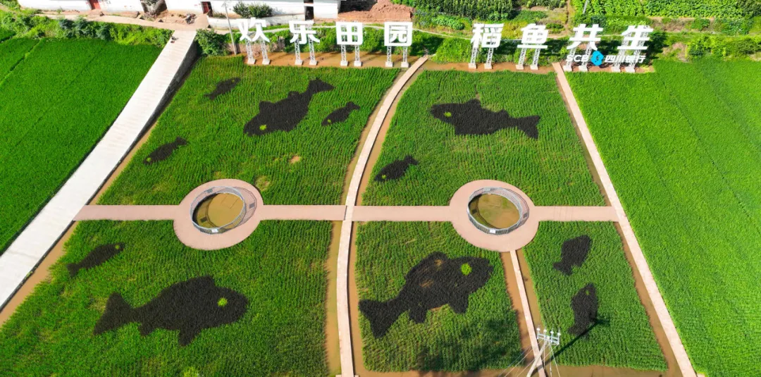 会东县火把节文旅盛宴:融合创新,热情燃动夏日旅游热潮插图8 会东县火把节文旅盛宴:融合创新,热情燃动夏日旅游热潮插图8