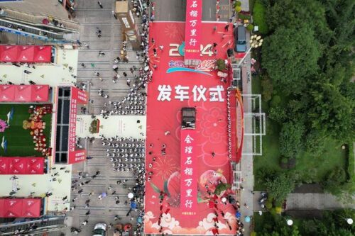 会理石榴产业蓬勃发展，带动数万人就业与增收-会东网