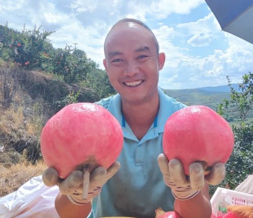 会东县郑家坝村:石榴产业兴旺 乡村振兴图景铺展插图3 会东县郑家坝村:石榴产业兴旺 乡村振兴图景铺展插图3