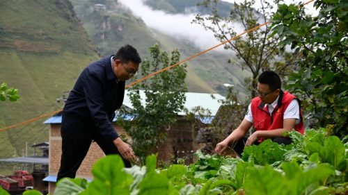 王金林：用心用情铺就乡村振兴新路子插图2