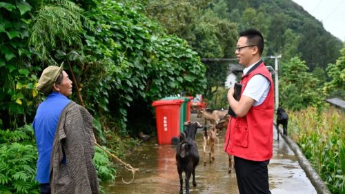 王金林：用心用情铺就乡村振兴新路子插图1