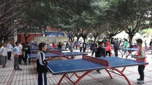 会东县第三小学：书写素质教育新篇章插图2