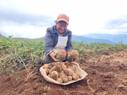 铅锌镇：多元化特色产业助力乡村振兴插图3