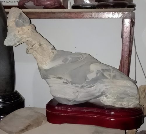 会东奇石谈插图19