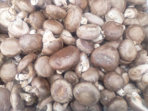 冕宁:美食与特产的宝藏之地插图7 冕宁:美食与特产的宝藏之地插图7