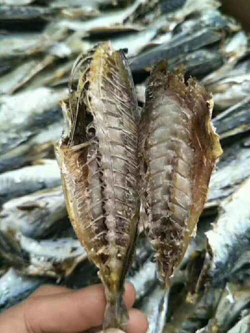 舌尖上的雷波县:美食与土特产的盛宴插图1 舌尖上的雷波县:美食与土特产的盛宴插图1