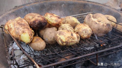 舌尖上的凉山汉堡:独特美味的制作秘籍插图2 舌尖上的凉山汉堡:独特美味的制作秘籍插图2