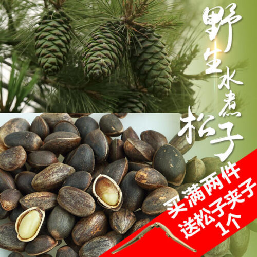中国国家地理标志产品___会东松籽插图3 中国国家地理标志产品___会东松籽插图3